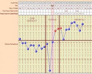 BlenheimMay30.jpg