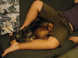 dreamerbabiessleeping.jpg
