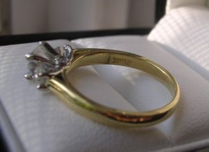 Good_ring_pic_12.jpg