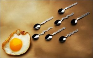 Egg.jpg