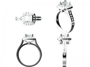Ring Prong.jpg