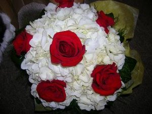 hydrangrose.jpg hydrangrose.jpg