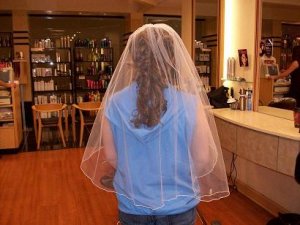 hairbackveil.jpg