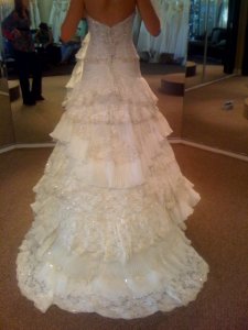 back of unsteamed dress.jpg