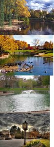 UNM duck pond 2.0.jpg
