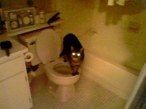 20070515215554_07E1.jpg