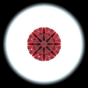 IS_AGS9731904.jpg