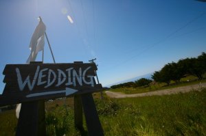 wedding sign.jpg wedding sign.jpg