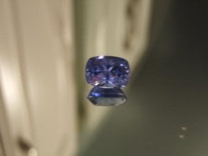 DSCF5486.JPG