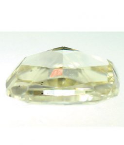G038_004_profile.jpg