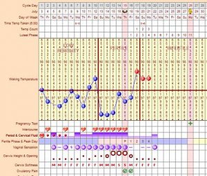 BlenheimBFPChart.jpg