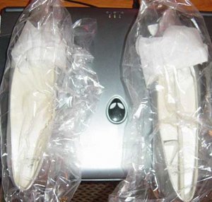 SJSShoePhotoinplastic.jpg