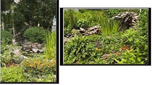thegarden3.JPG