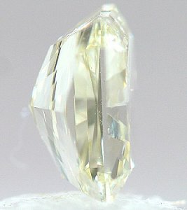 Z329_002.jpg