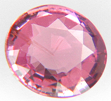PA2023_1.jpg