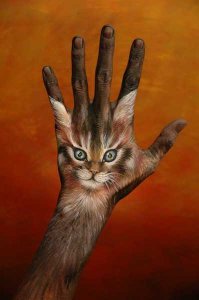 cat1321.jpg