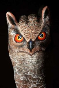 owl131.jpg