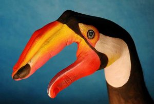 tucan1.jpg