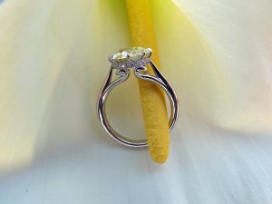 julia_05_88101613_stddd.jpg