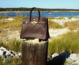 1birkinbeach4a.JPG