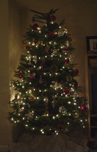 xmas tree 2005b.jpg xmas tree 2005b.jpg