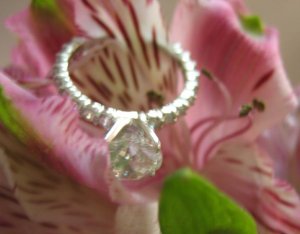 bama ring 5.JPG
