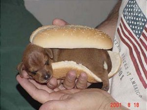 weinerbun.jpg