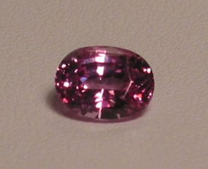 pinker444b.jpg