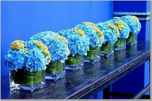 Centerpiece hydrangea_monkees_meow.jpg