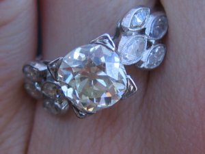 roxy2heirloom2.jpg