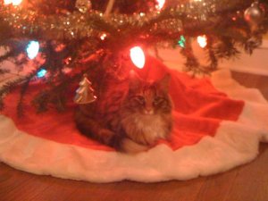 xmastreeoliviasdfds.jpg
