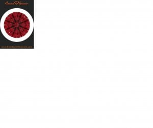 IDSmyring101010.jpg IDSmyring101010.jpg