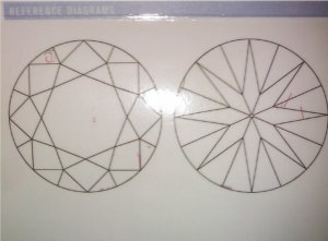 78822321.jpg