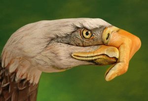 eagle1.jpg