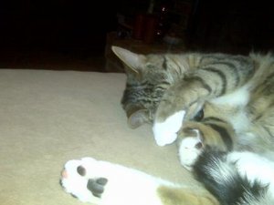 feetsforPS.JPG
