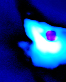 fluorspin11.JPG