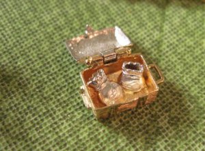 TreasureOpen9491.JPG