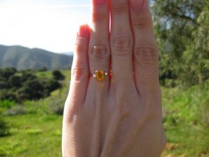 IMG_1443sized.jpg