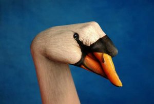 goose1.jpg