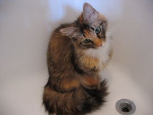 babyoliviasdfas.jpg