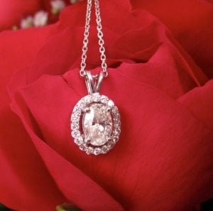 necklace on flower.jpg