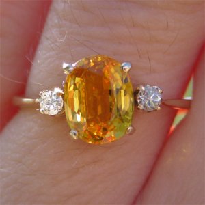 IMG1428sized.jpg