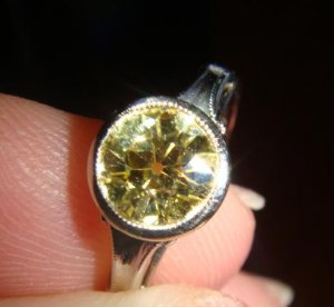 yellow.oec.02.JPG