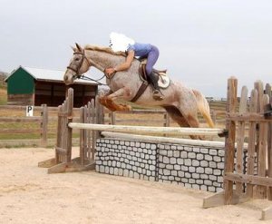 Rose Jumping-ps.JPG