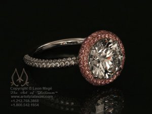 Mege rose rb.jpg