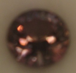 IMG_2736.jpg