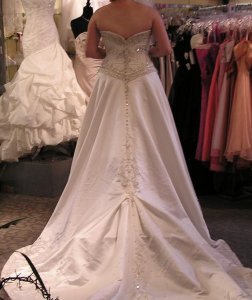 Back fav dress.JPG