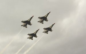 mctbirds.jpg