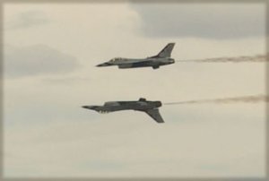 mctbirds2.jpg