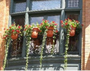 smaller pic of flower pots.JPG